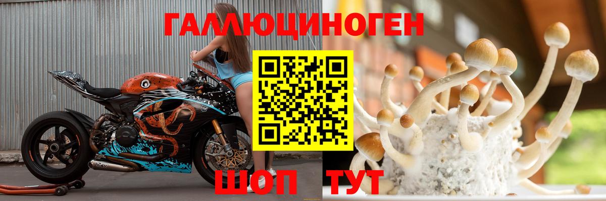Псилоцибиновые грибы GOLDEN TEACHER Сургут